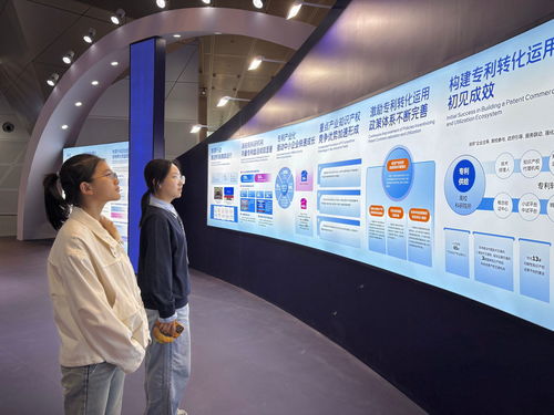 我校師生參加第十四屆中國(guó)國(guó)際專(zhuān)利技術(shù)與產(chǎn)品交易會(huì)，聚焦信息技術(shù)咨詢(xún)服務(wù)創(chuàng)新